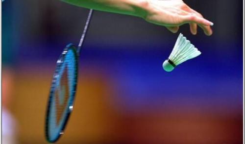 Badminton: Finale du Masters Promax 